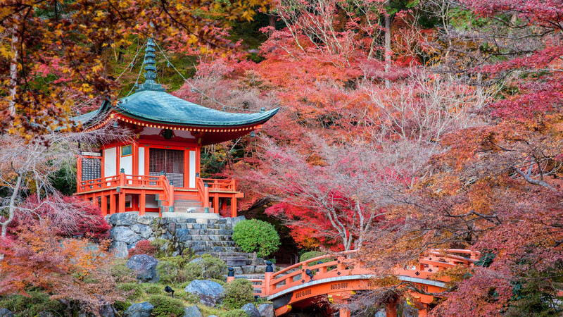 what to do in Kyoto