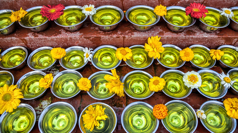 Saffron flowers in bowls, Nepal