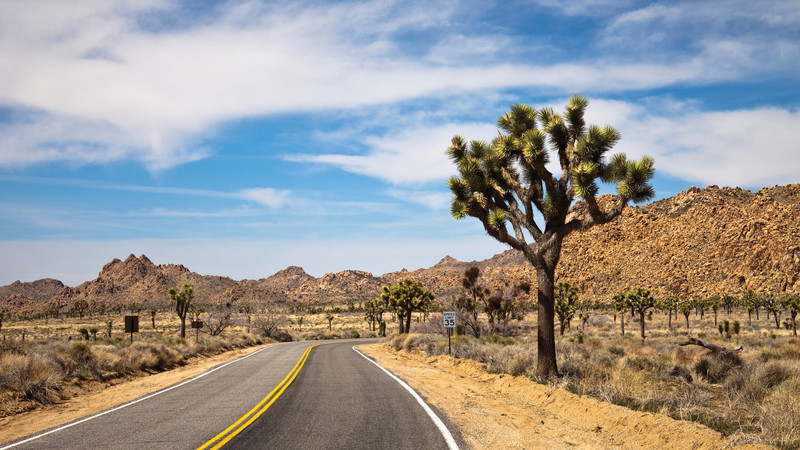 United States tour national parks Joshua Tree