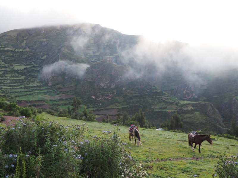 Quarry Trail Peru hiking