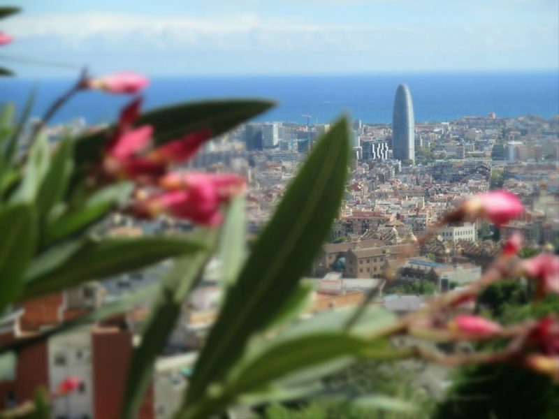 fun things to do in Barcelona