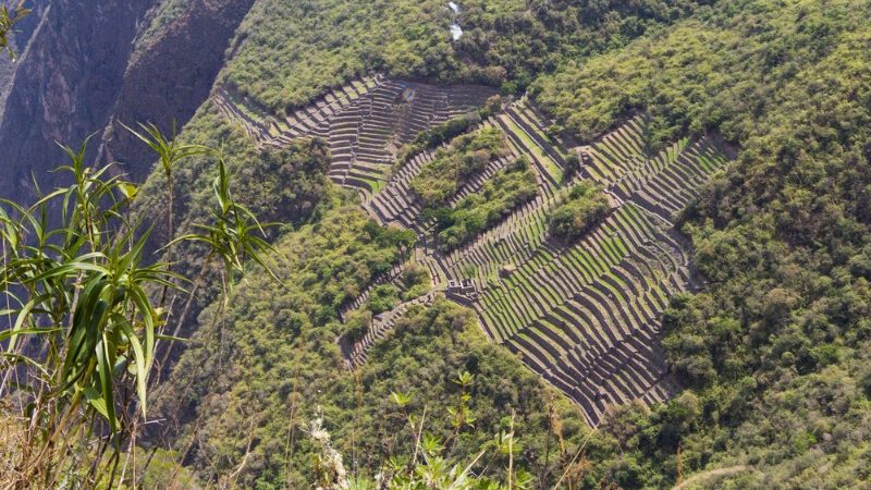 Choquequirao ruins