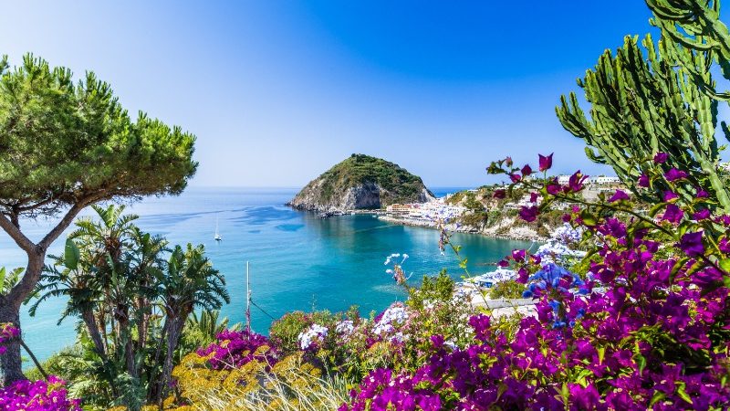 Colourful flowers and trees in Ischia, Italy