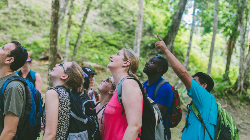 Belize tour Tikal