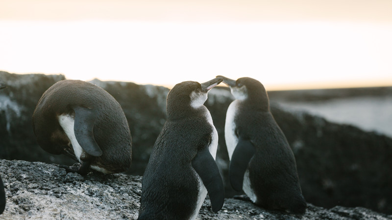 Galapagos islands travel tips