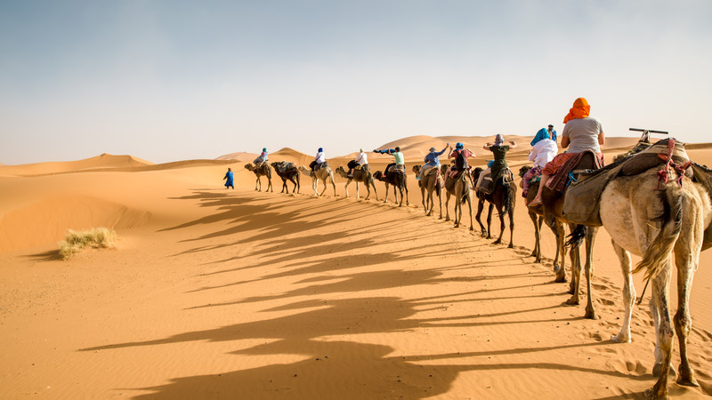 Travellers riding camels in the Sahara