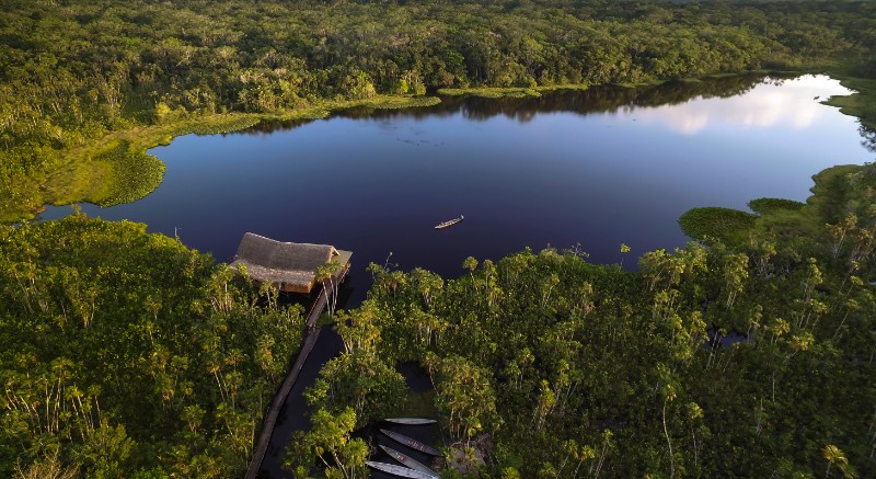 Sacha Lodge Amazon Ecuador