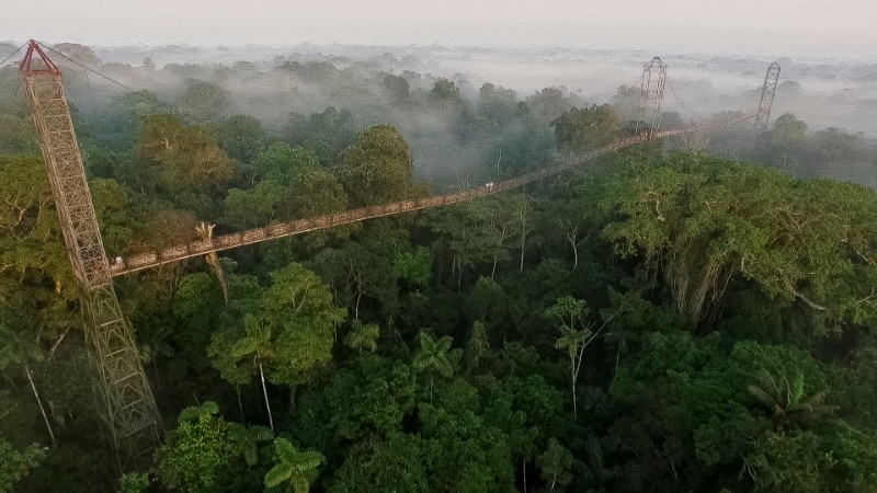 Sacha Lodge Amazon Ecuador