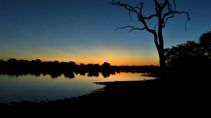 Zambia travel safari