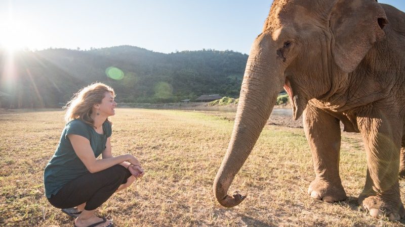 woman crouching before an elephant