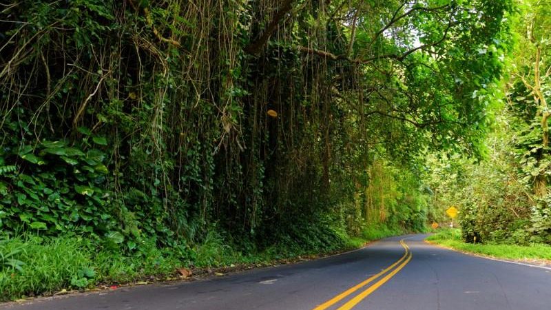 Road to Hana, Hawaii