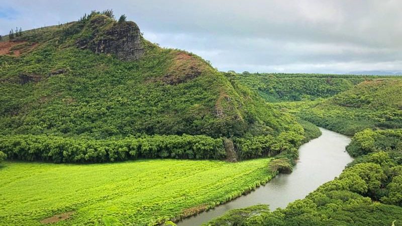 Wailua River, Kaua'i, Hawaii