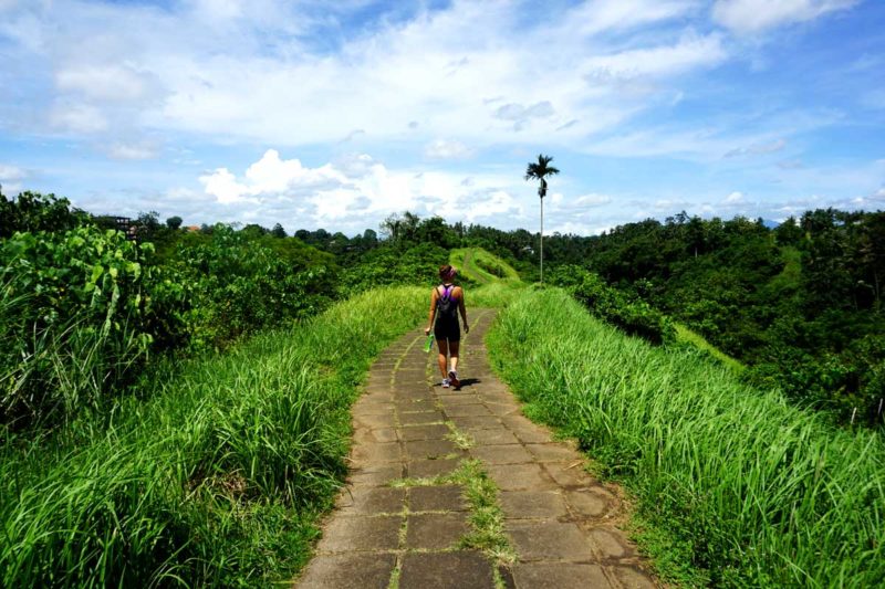 Bali one week guide Campuhan Ridge