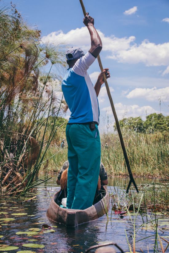 Okavango Delta Botswana