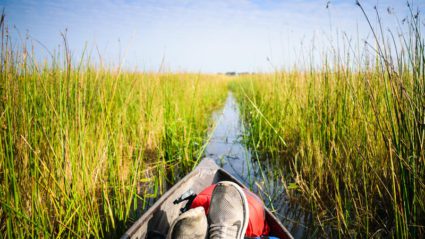 okavango delta safari tour