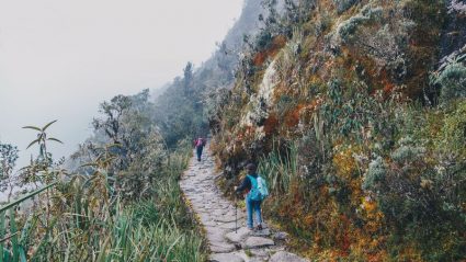 inca trail hike tours