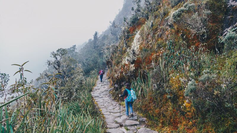 Inca trail hotsell tours 2020