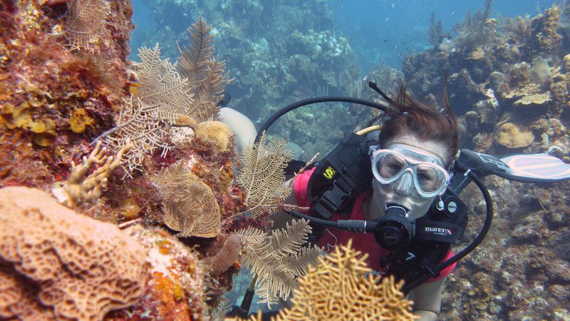 Woman snorkelling next to bright coral reef