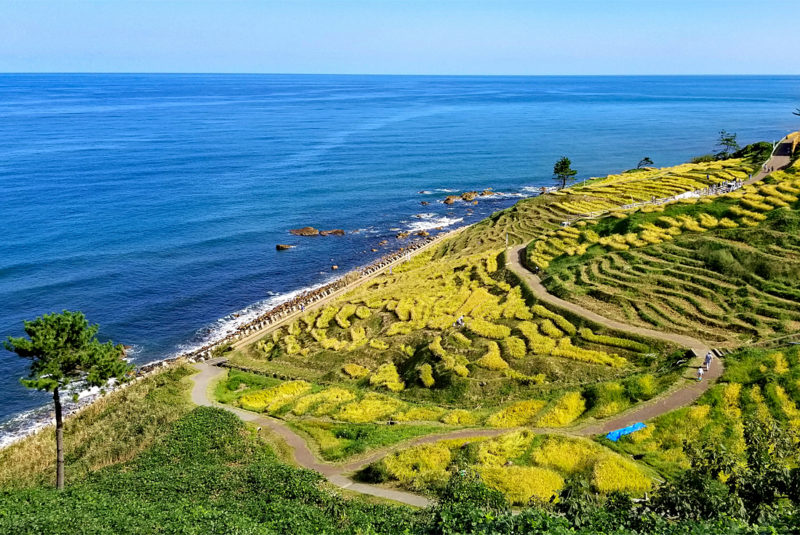 Top 10 Adventure Cycling Tours for 2019 Intrepid Travel Blog