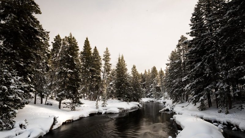 River and snow.