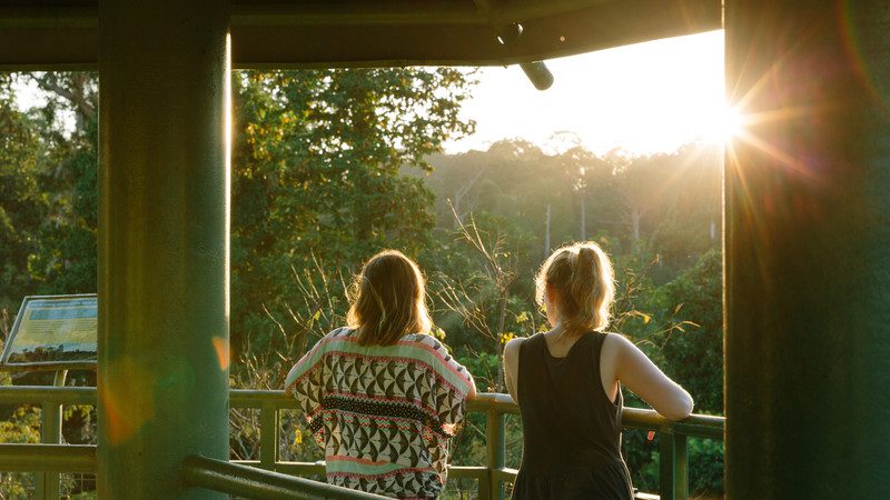 Sunset in Borneo