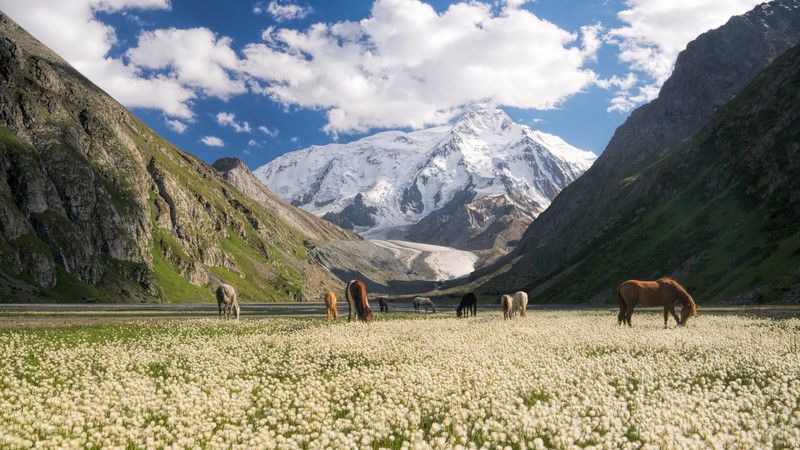 A valley and mountains in Kyrgyzstan