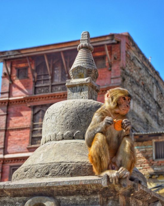 what to do in Kathmandu Nepal