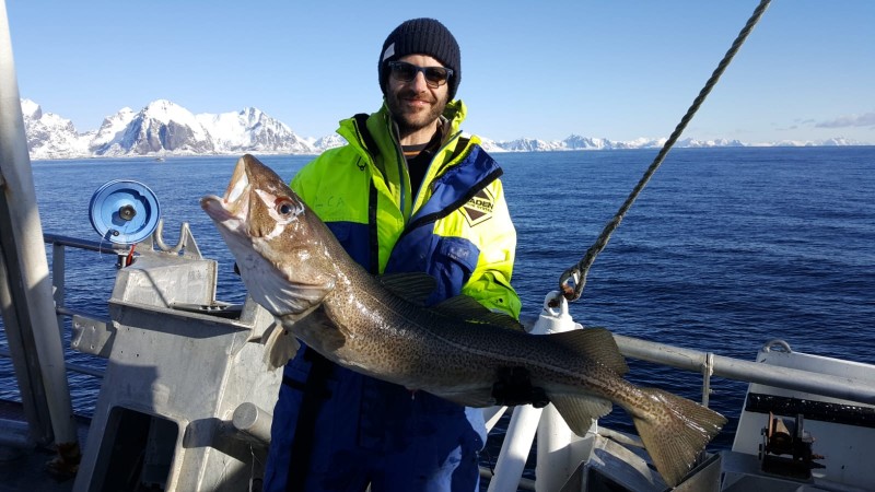 travel to Lofoten Islands Norway