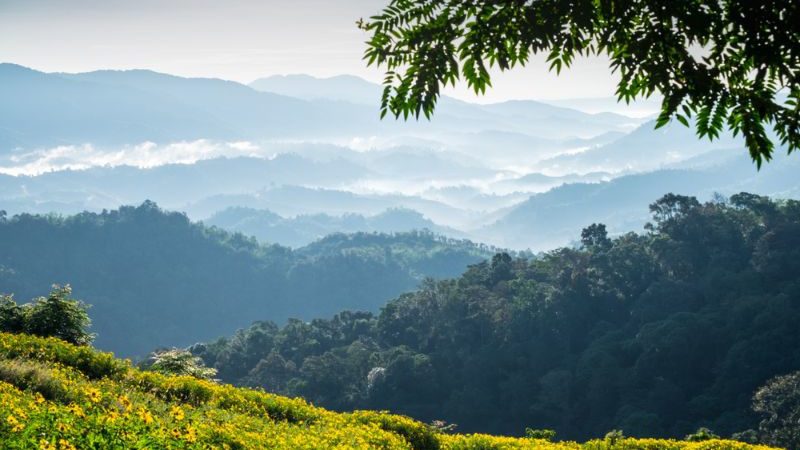 Mountains in Mae Salong, Northern Thailand