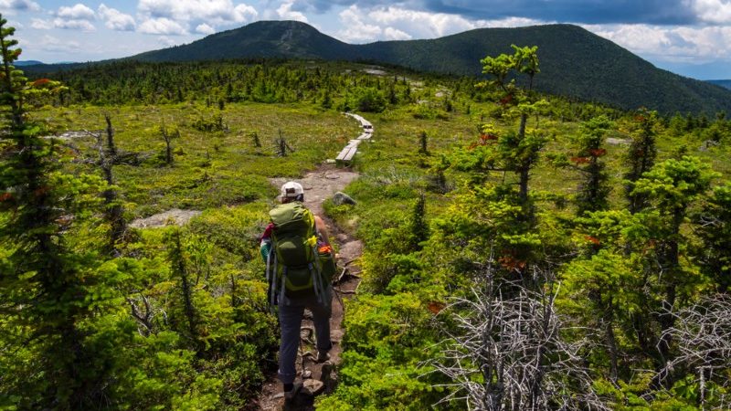 Lost Hiker Was Two Miles From Appalachian Trail When She Died