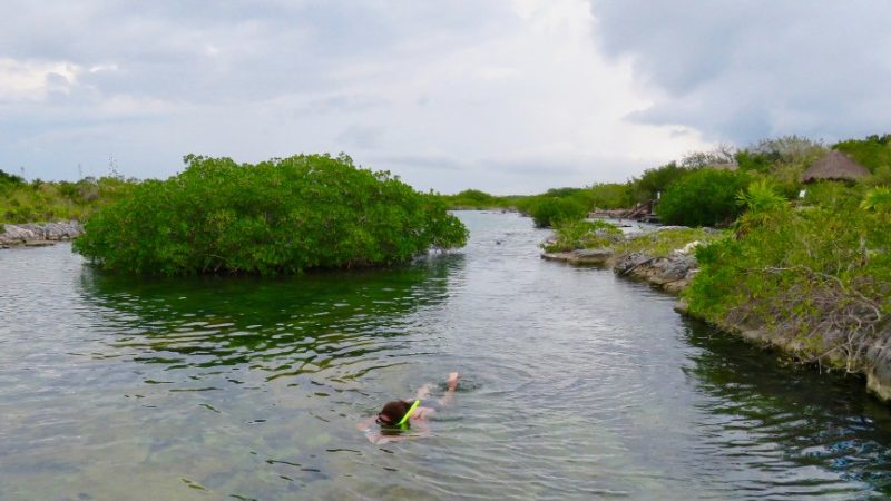 Snorkelling in Tulum