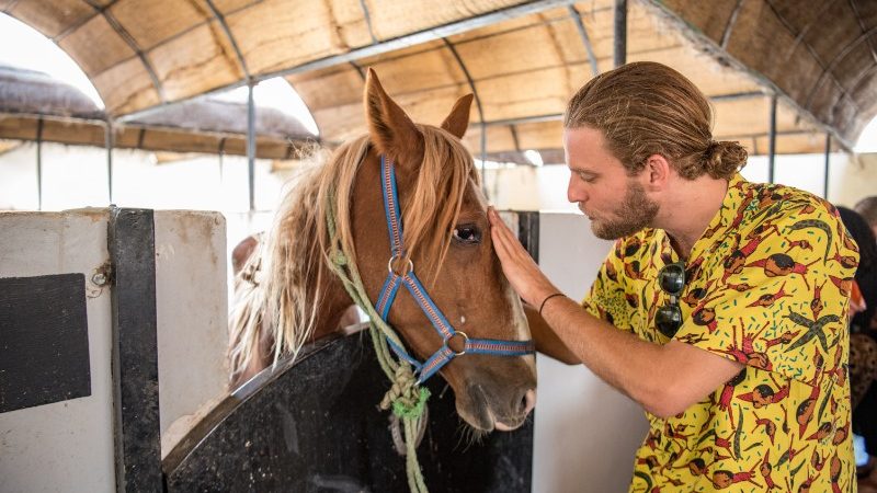 Improving Animal Welfare in Egypt | Intrepid Travel Blog Improving Animal Welfare in Egypt | Intrepid Travel Blog