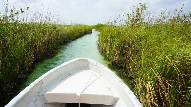 A boat cruises through a narrow canal