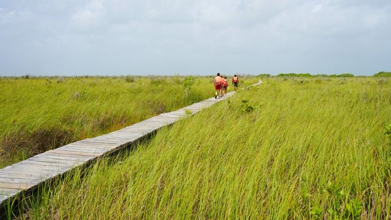 People walking on a boardwalk