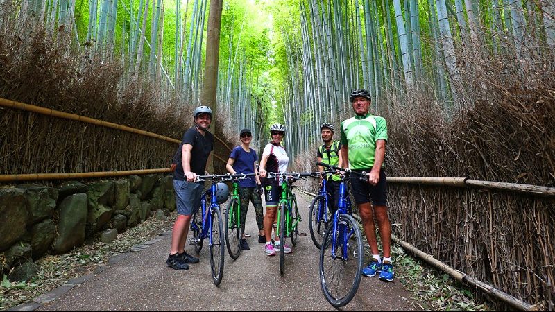 A group of cyclists in a bamboo forest in Japan