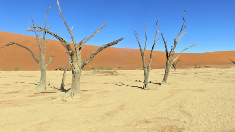 Deadvlei Namibia travel