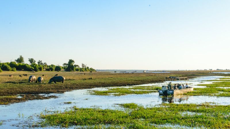 A marsh in Botswana