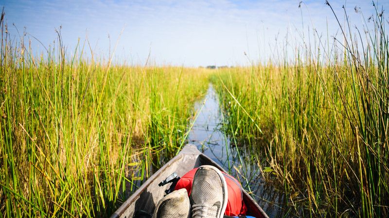 Feet at the front of a mokoro in the Okavango Delta