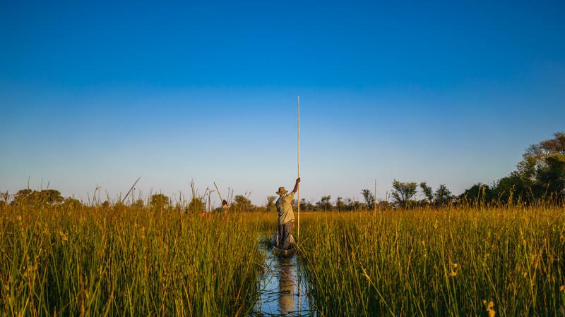 A mokoro in the Okavango Delta, Botswana
