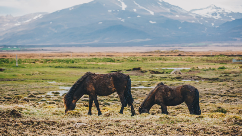 Iceland photos