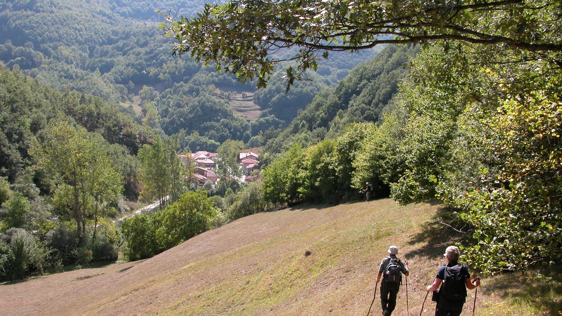 Two travellers hiking on a green hill surrounded by trees on the Camino de Santiago in Spain.