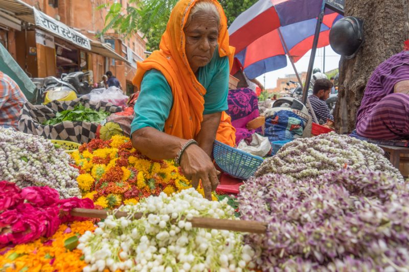 Jaipur India city guide