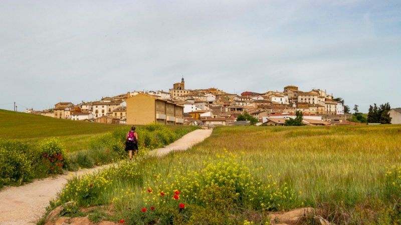 Hiker walking along the Camino, Spain