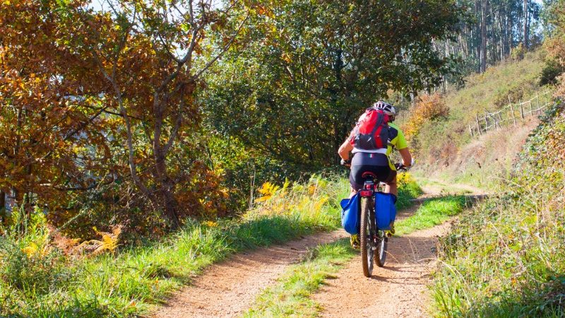 Cyclist on the Camino Trail, Spain