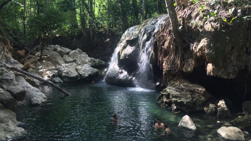 People swimming under a waterfall