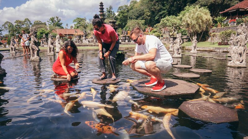 Feeding fish at Tirta Gangga water temple in Bali. 