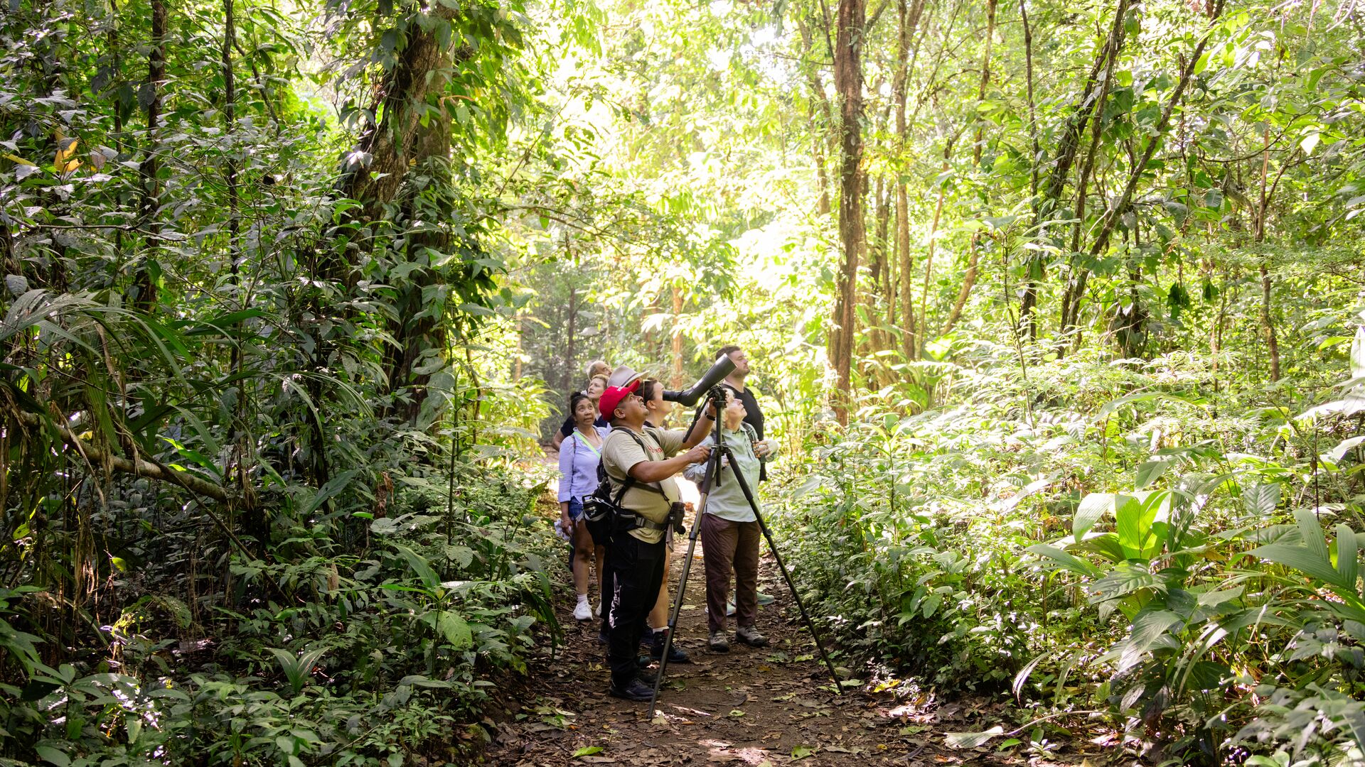 A group of travellers walking in the jungle in Costa Rica with a local guide.