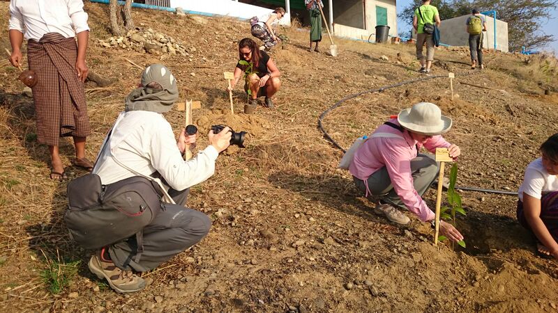 A group of travellers planting trees