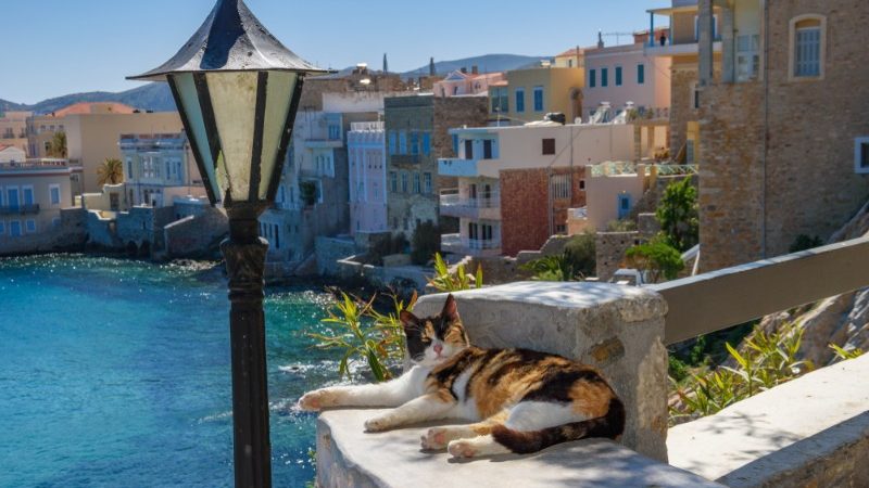 A cat lying on a wall next to a map post in Greece