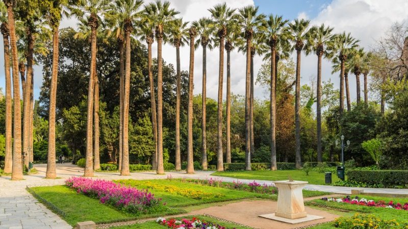 Palm trees and flowers in the National Garden, Athens